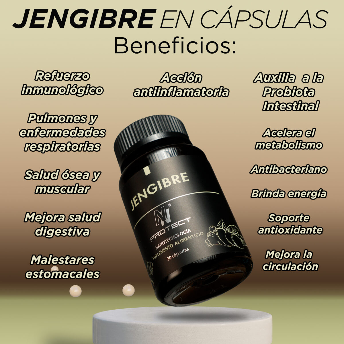 jengibre capsulas catalogo